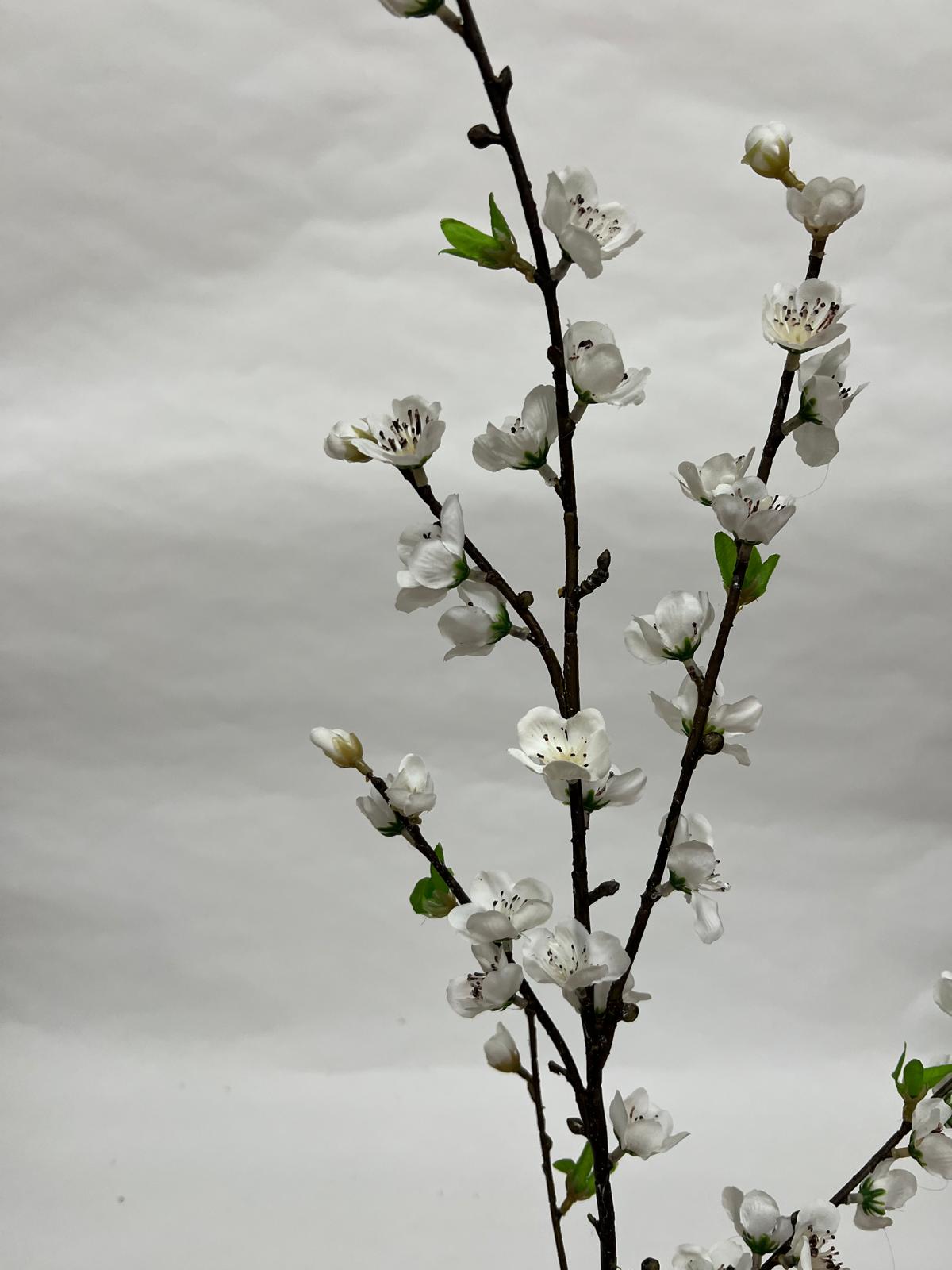 Floare Cires Crenguta