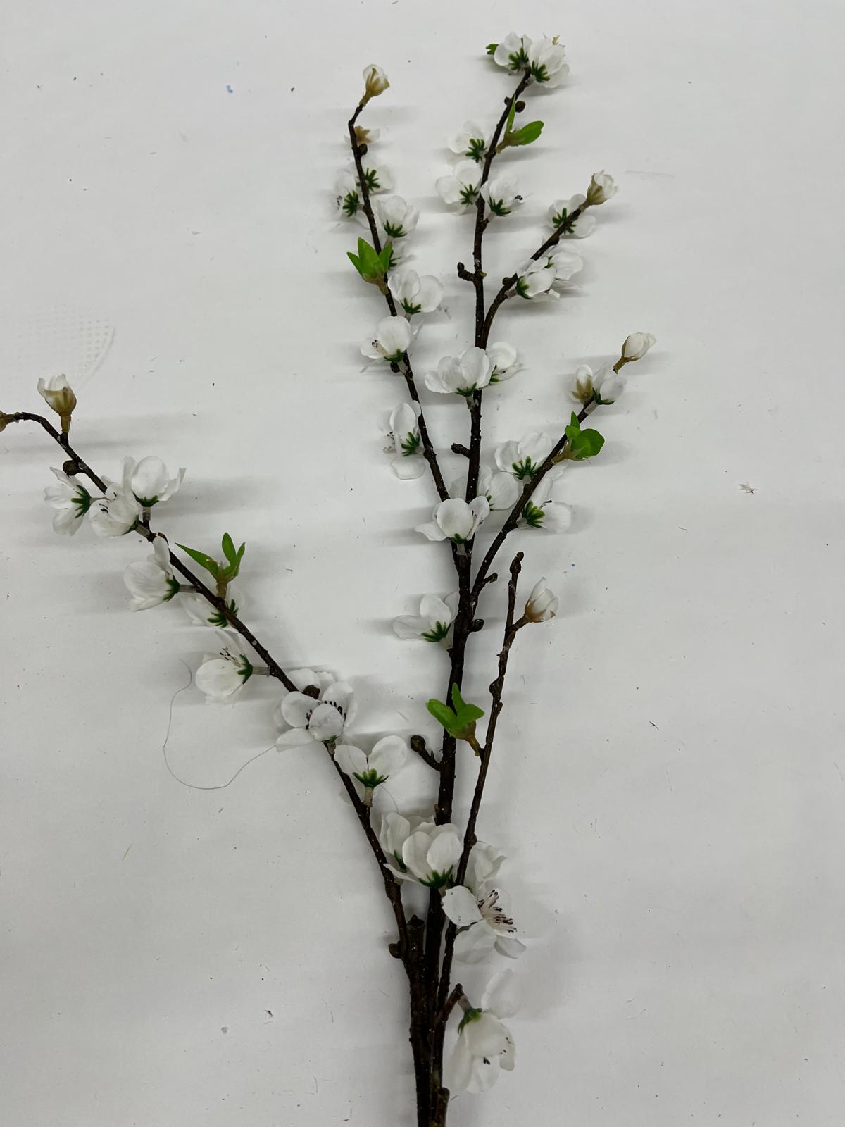 Floare Cires Crenguta