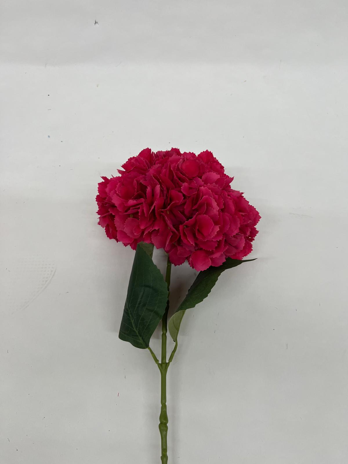 Hortensie
