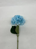 Hortensie