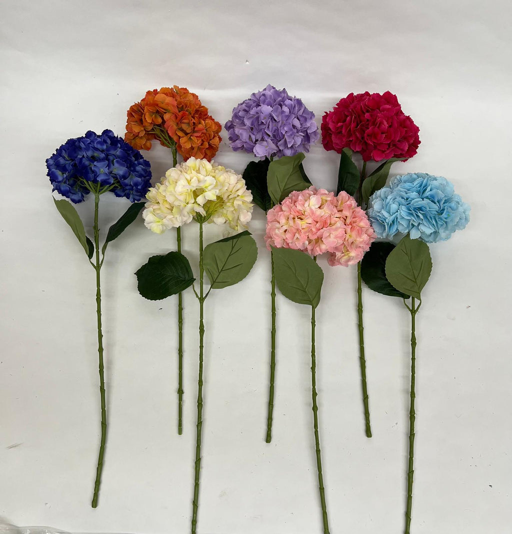 Hortensie