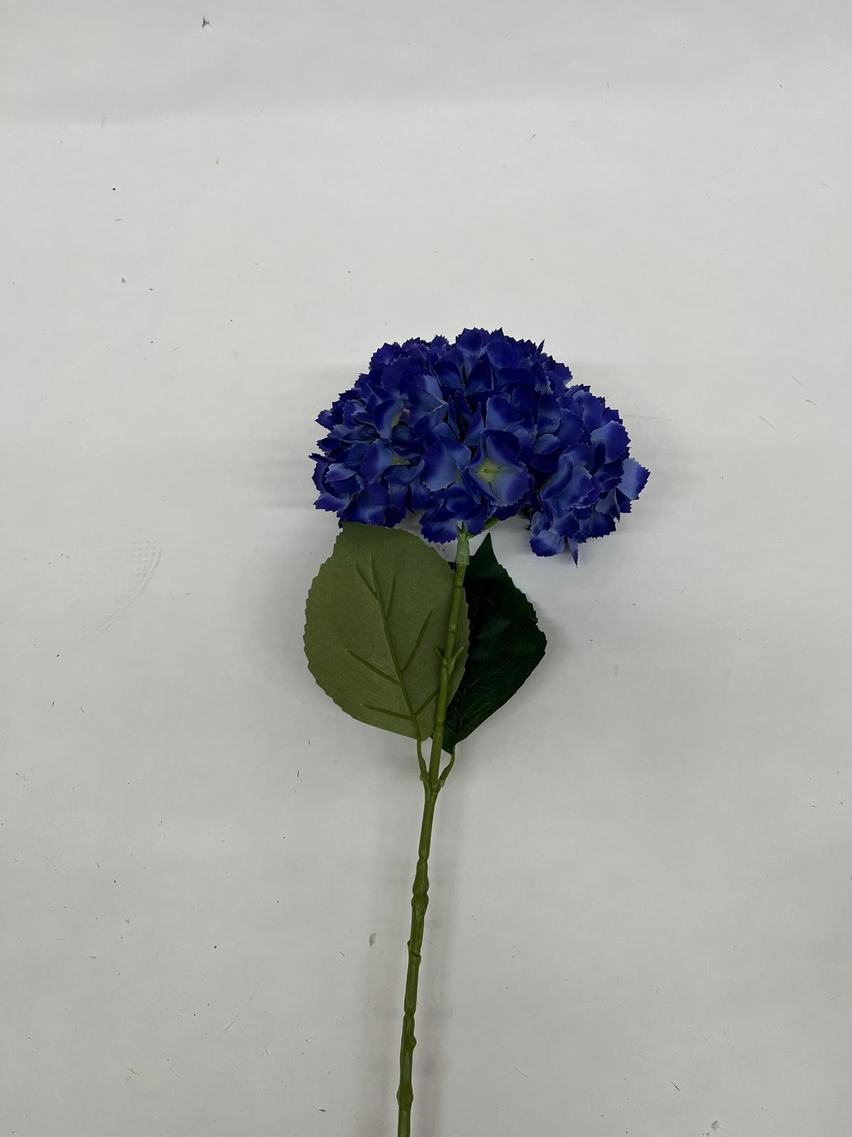 Hortensie