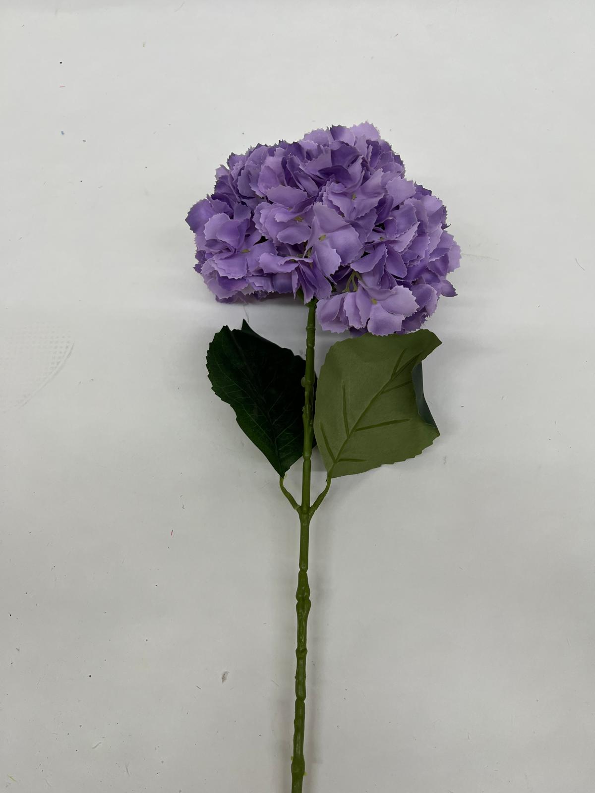 Hortensie