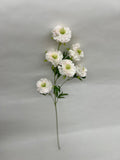 Scabiosa Artificiala