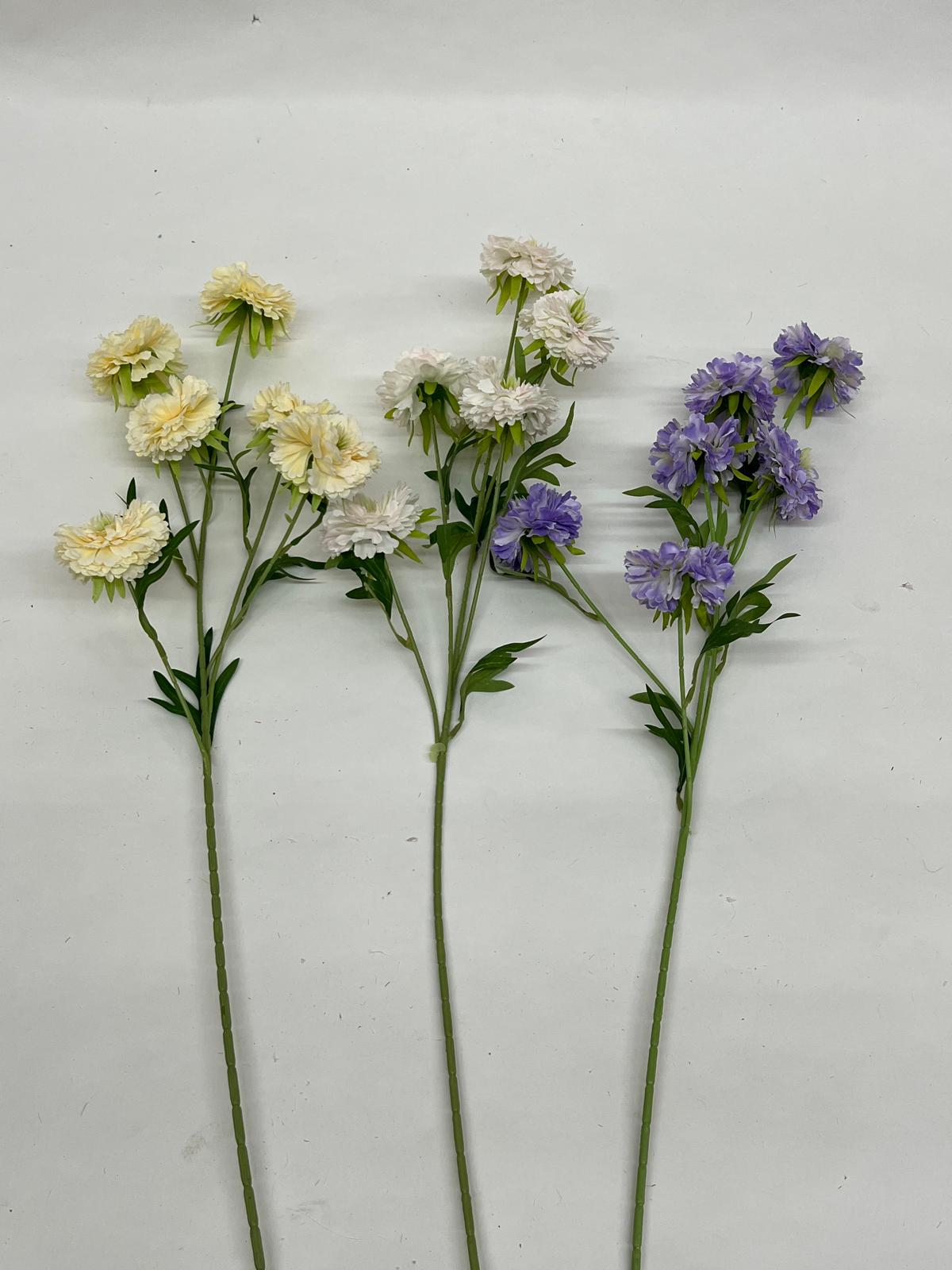 Scabiosa Artificiala