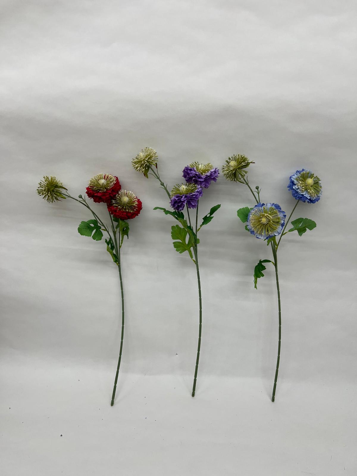 Anemone