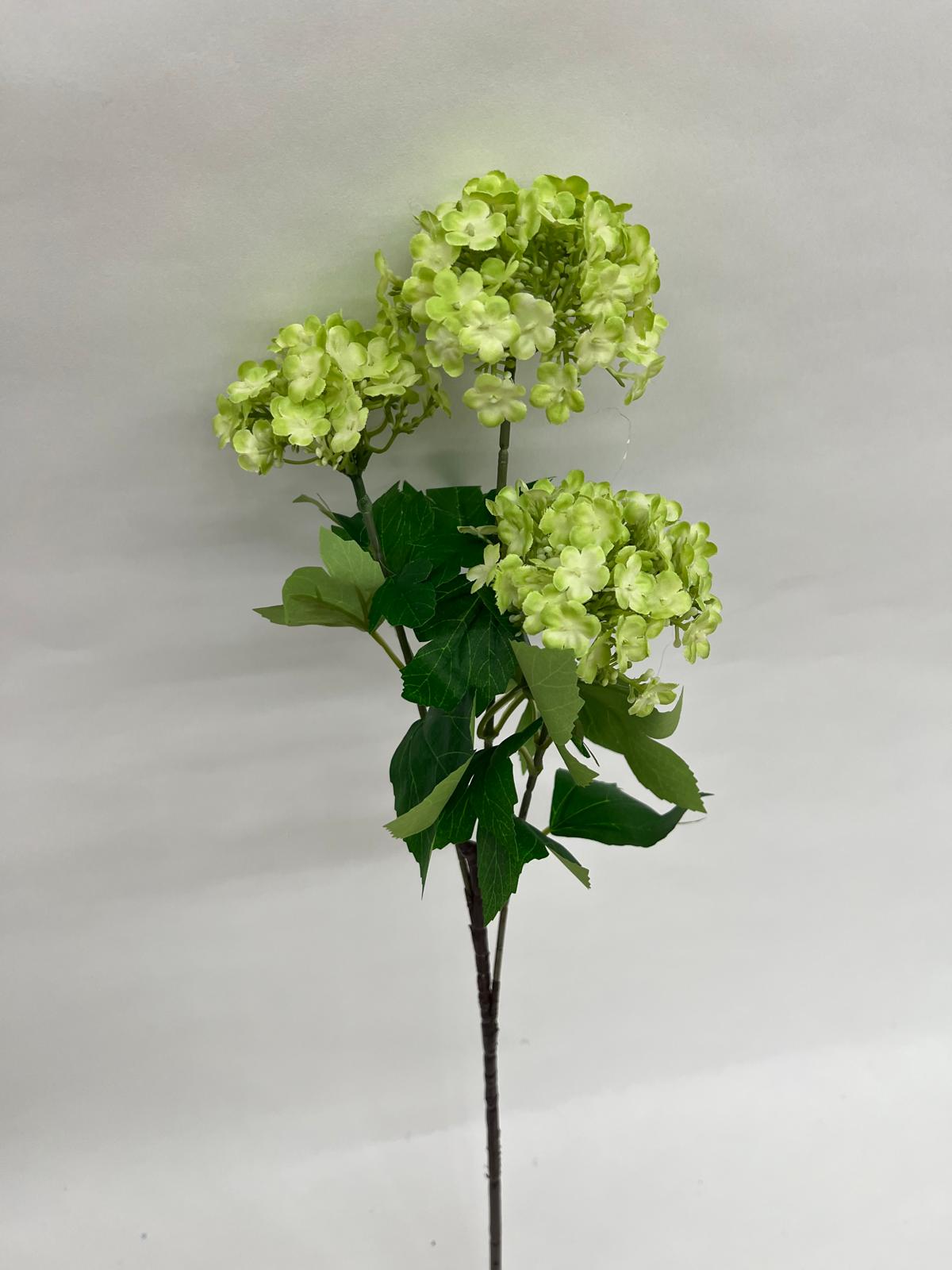 Mini Hortensie