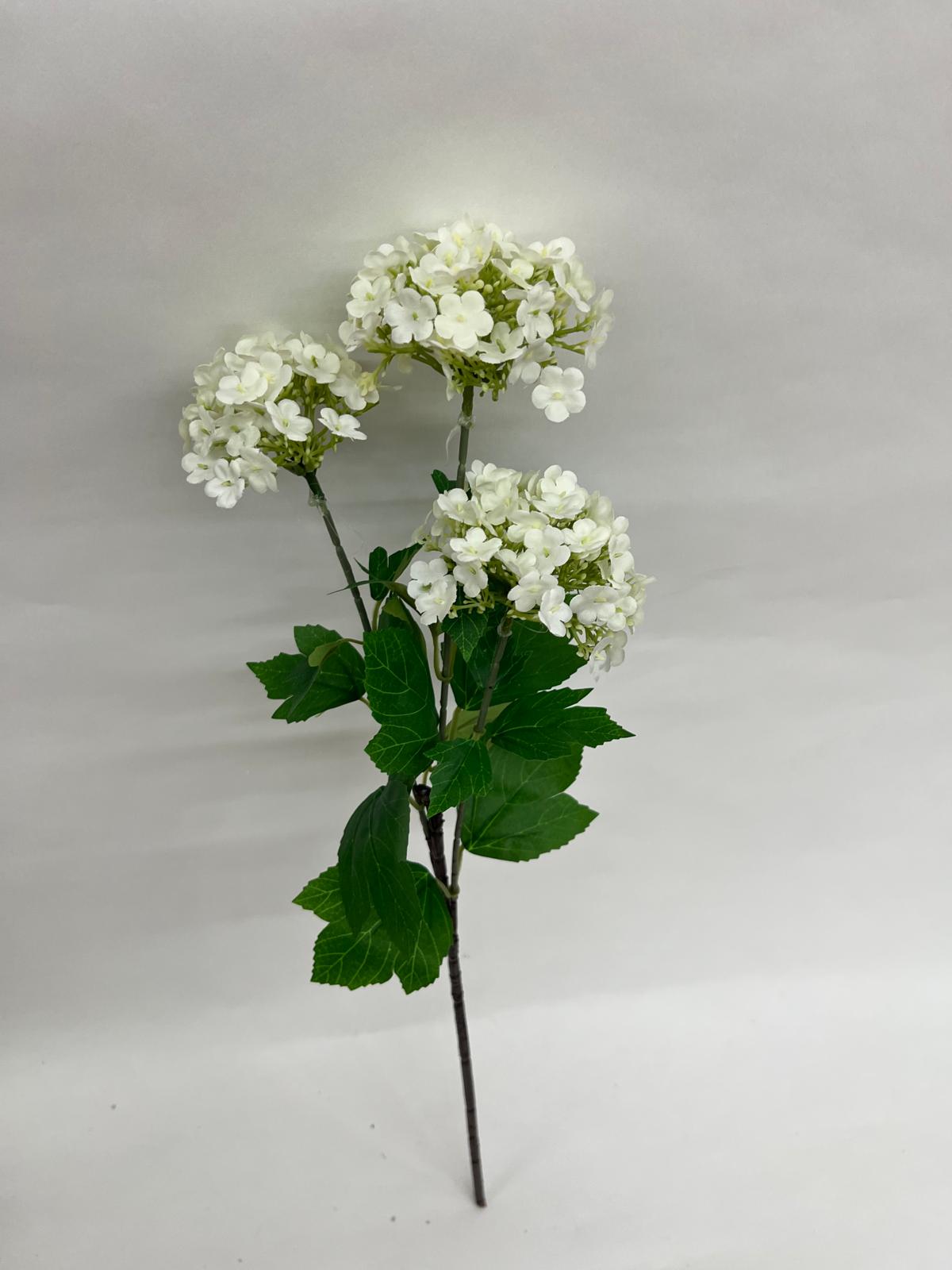 Mini Hortensie