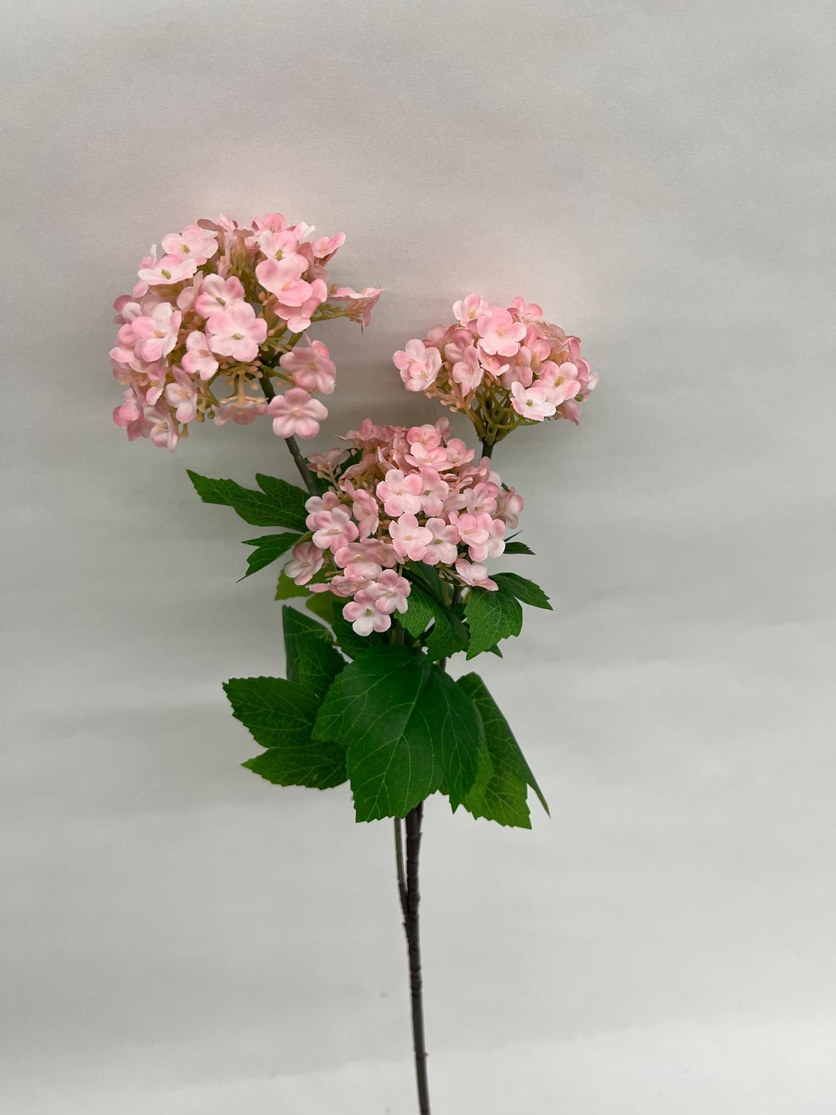 Mini Hortensie