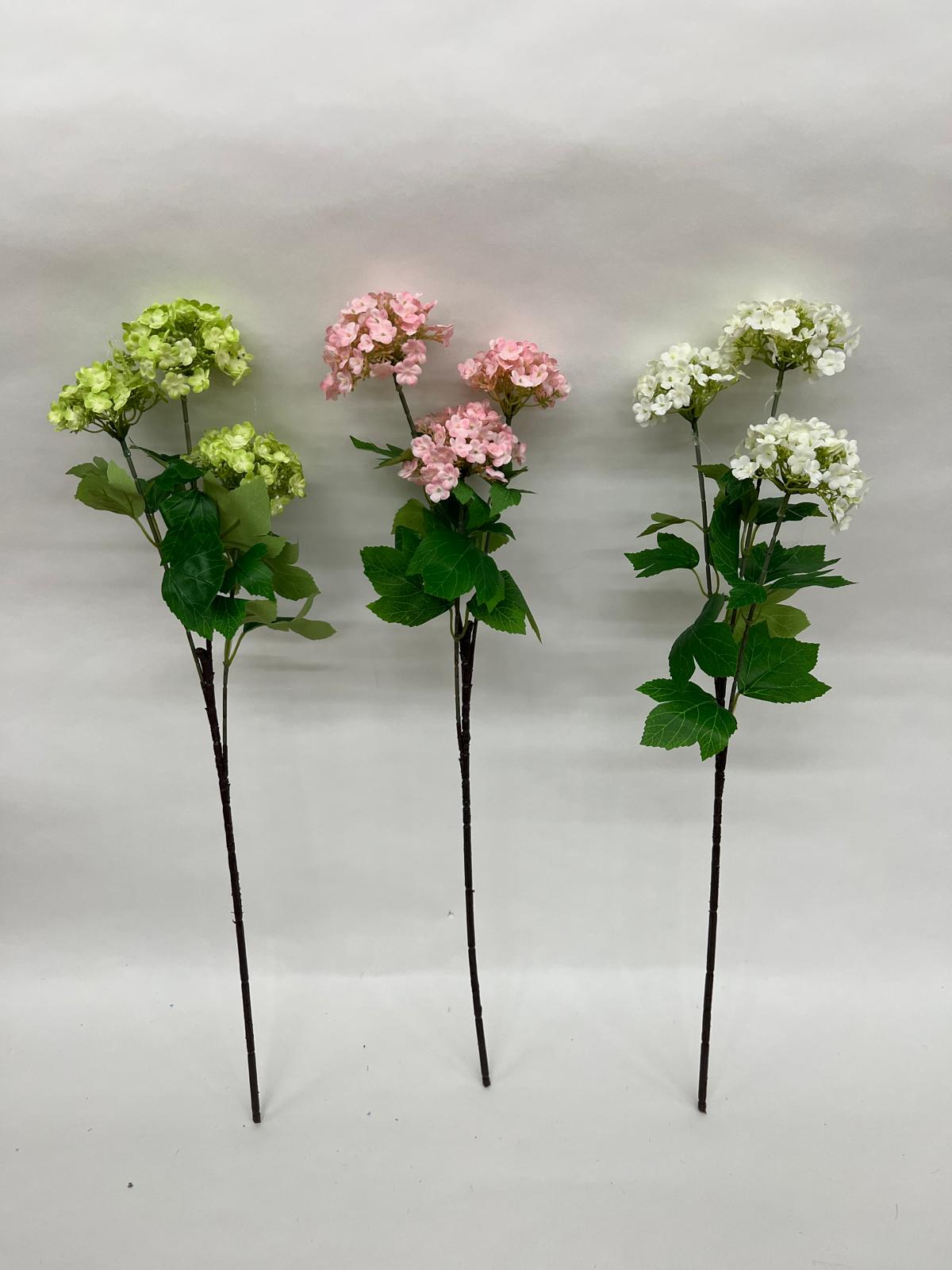 Mini Hortensie