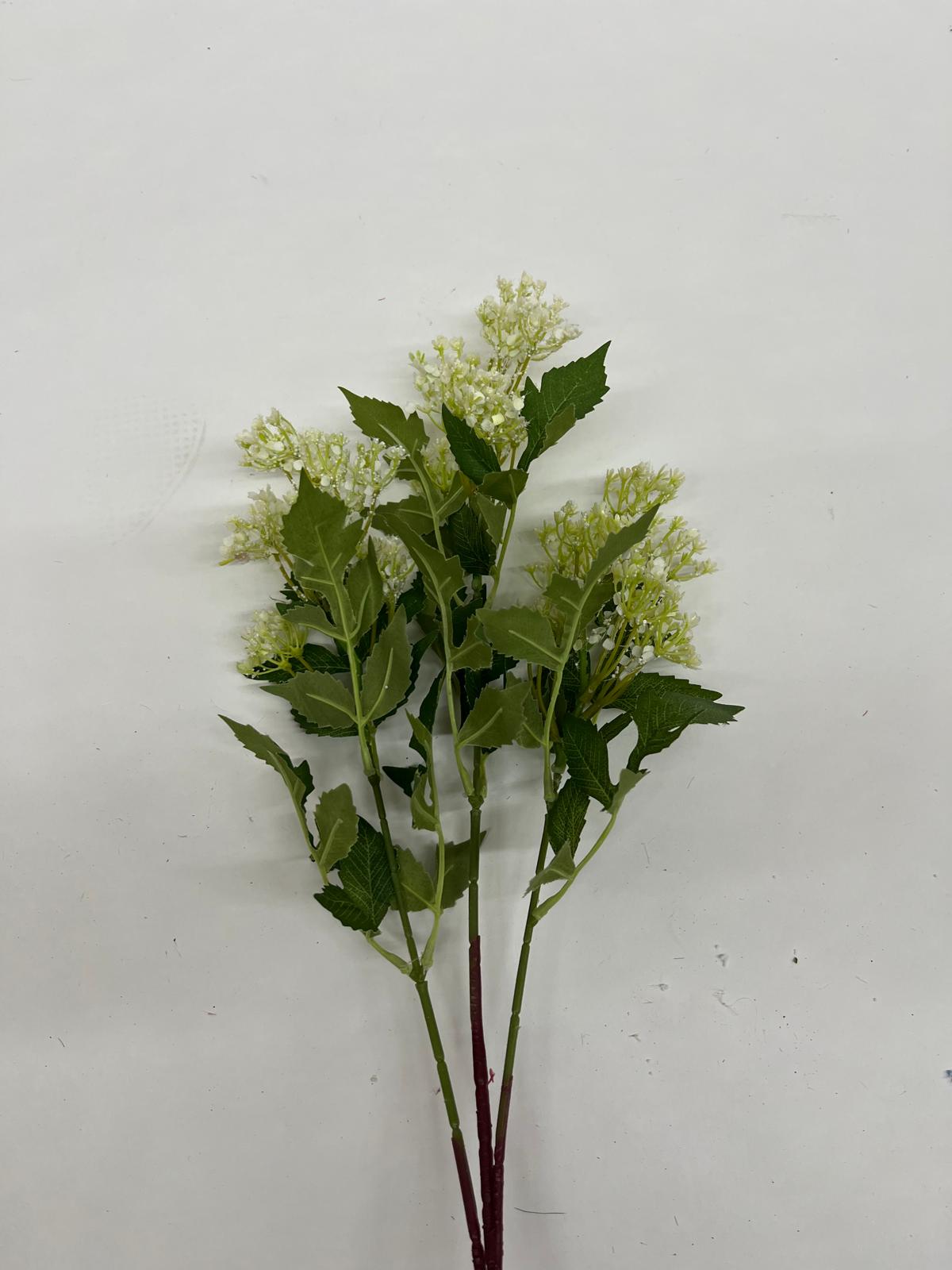 Liliac