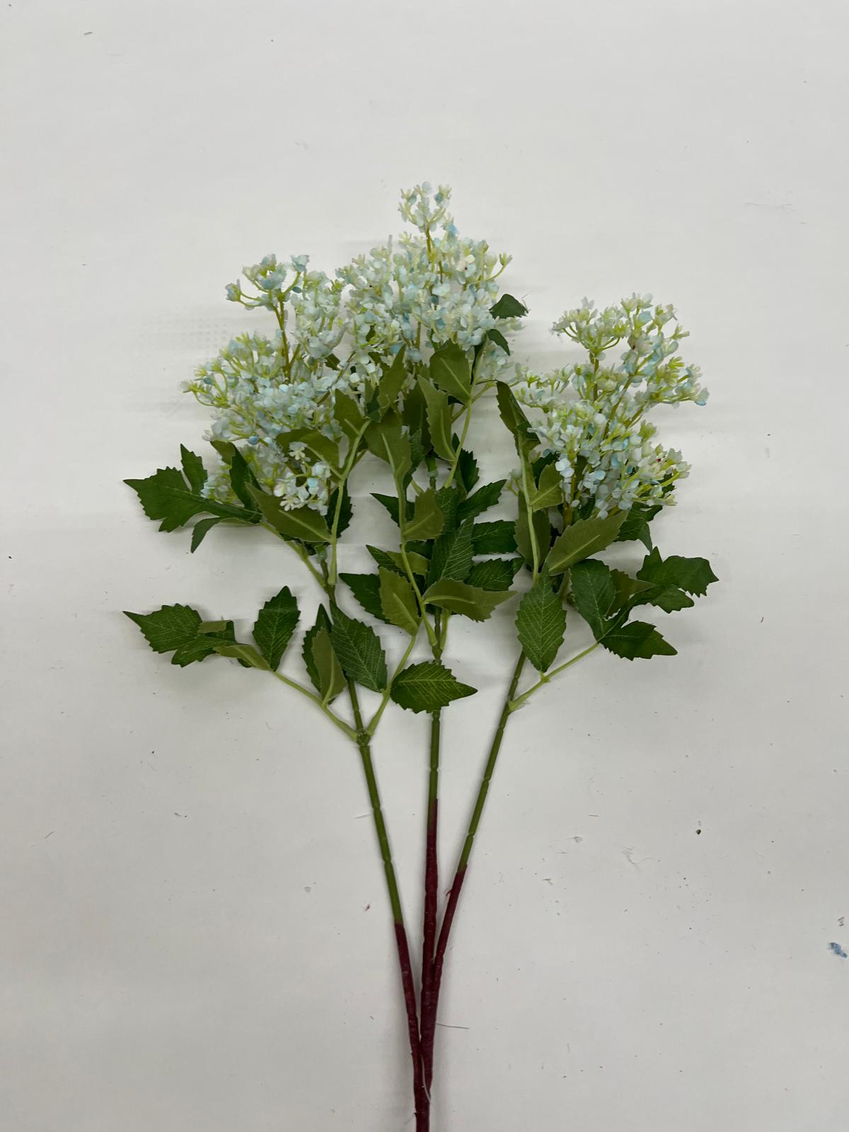 Liliac
