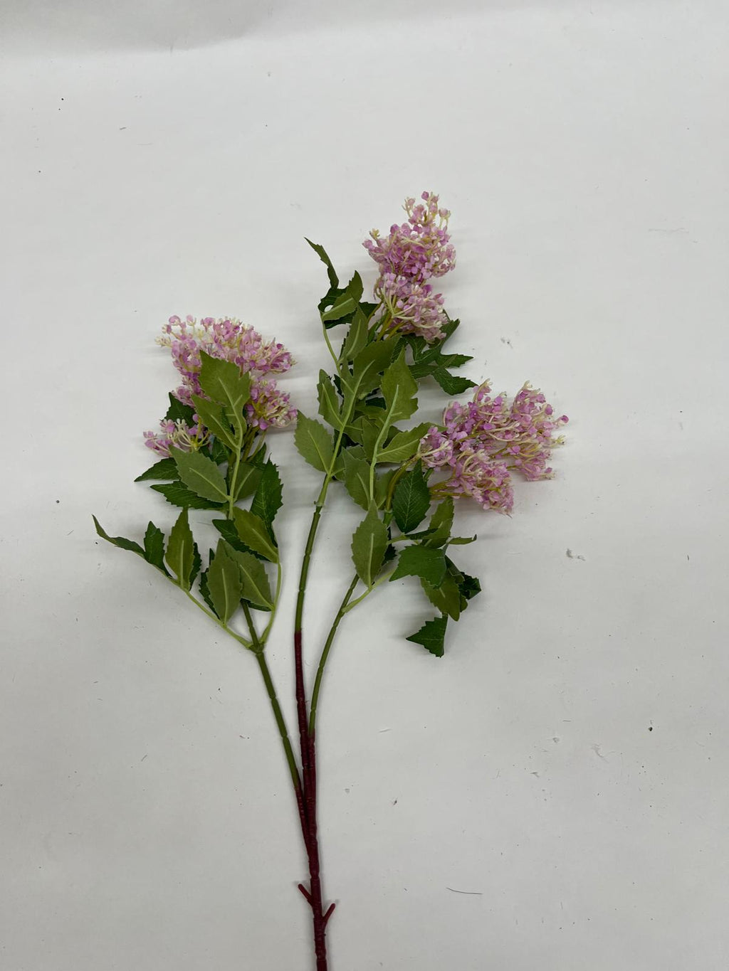 Liliac