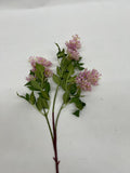 Liliac