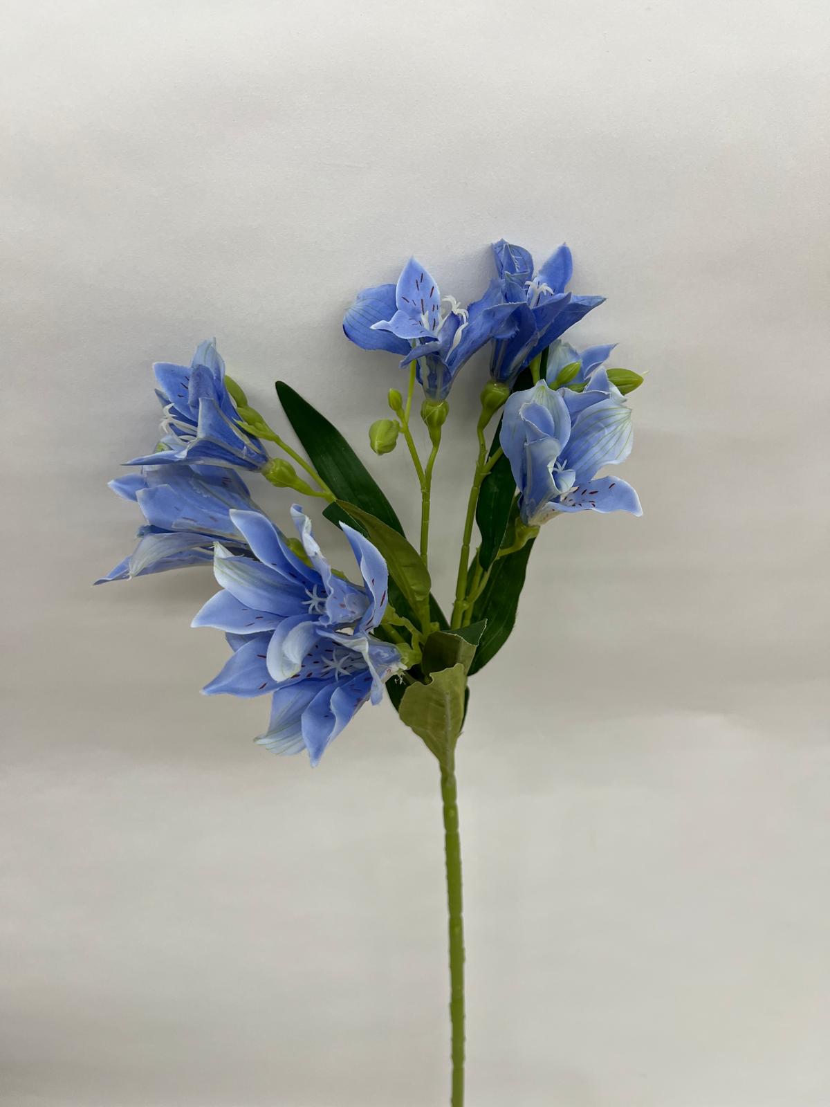 Astromelia