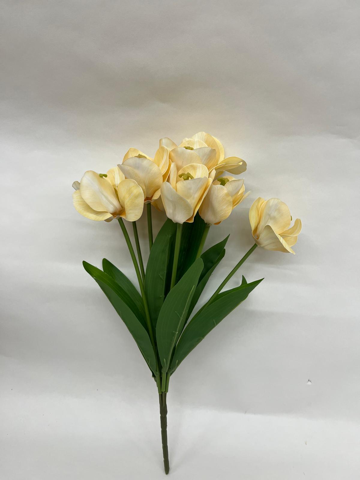 Lalele Buchet