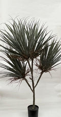 Pomi Artificiali(Yuca)