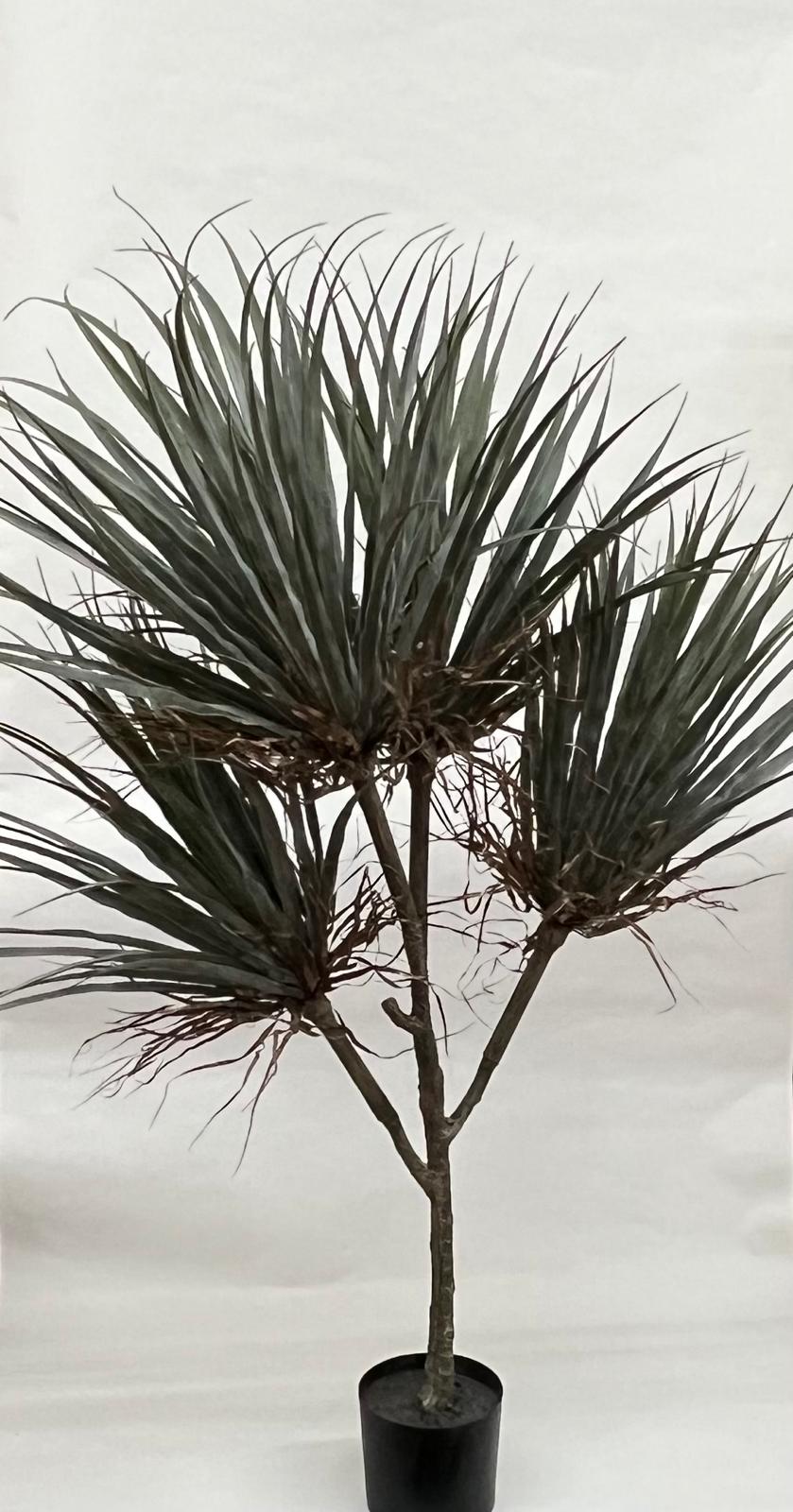 Pomi Artificiali(Yuca)