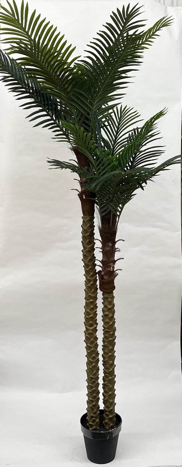 Pomi Artificiali (Palmier)