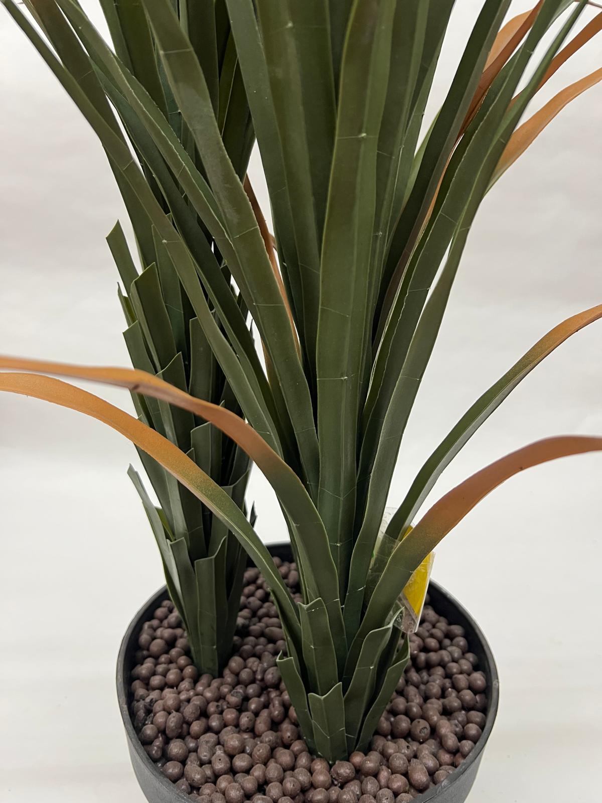 Pomi Artificiali (Yuca)