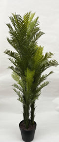 Pomi Artificiali Palmier (Areca)