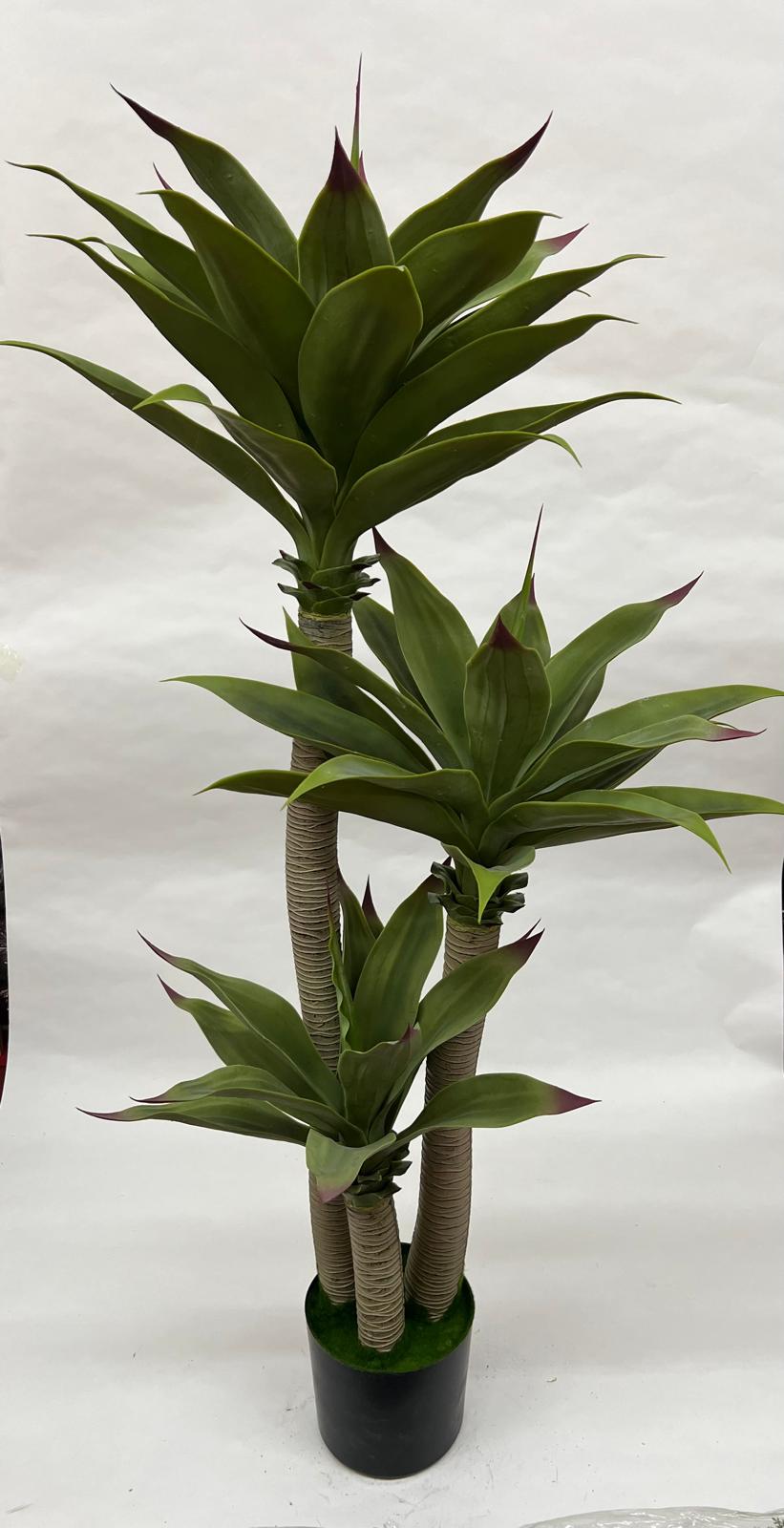 Pomi Artificiali (Agave)
