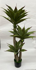 Pomi Artificiali (Agave)