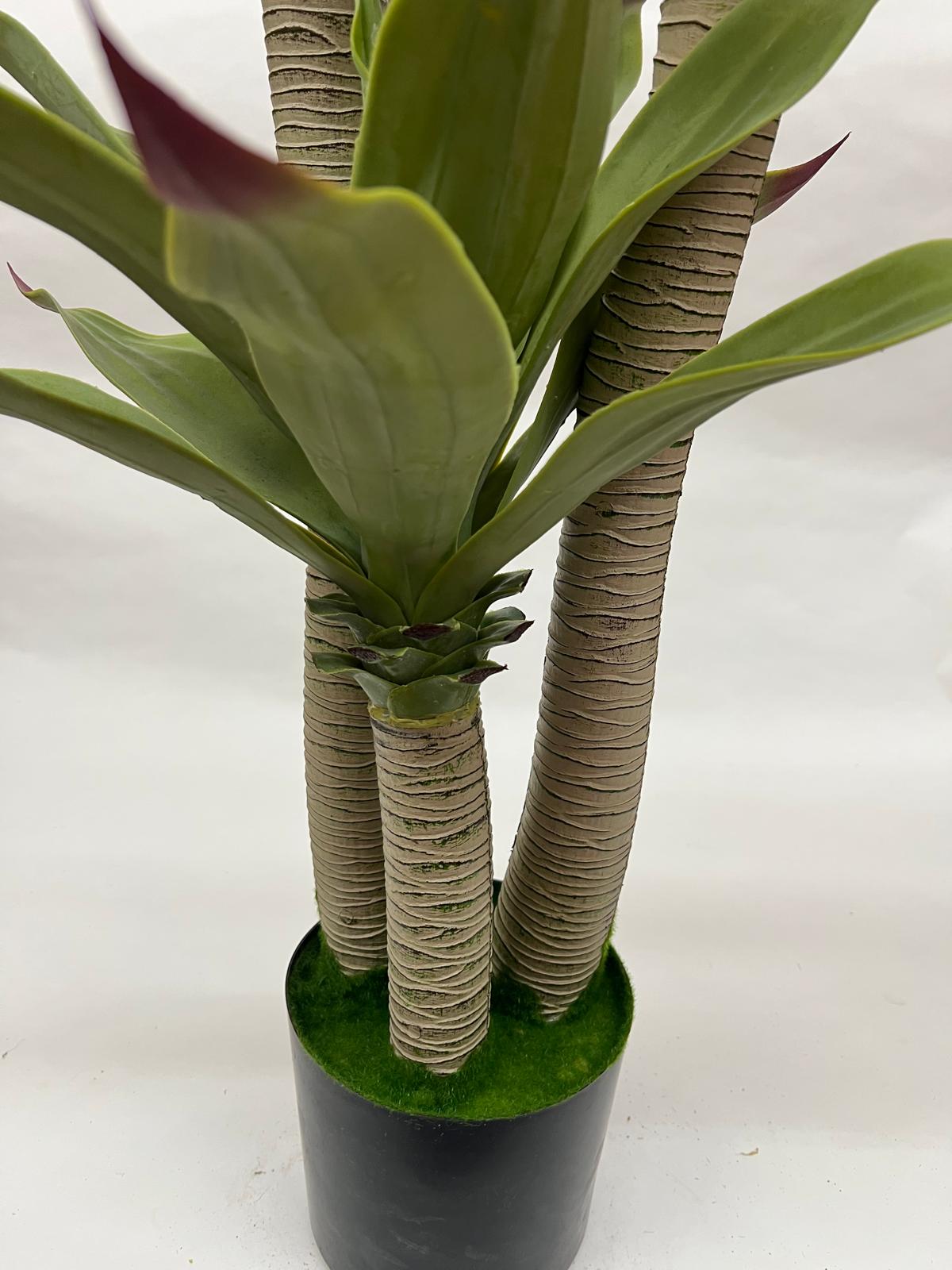 Pomi Artificiali (Agave)