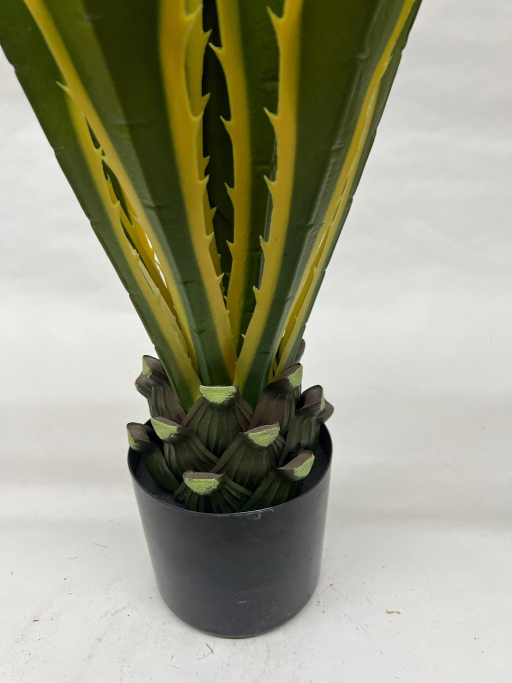 Pomi Artificiali (Yuca)