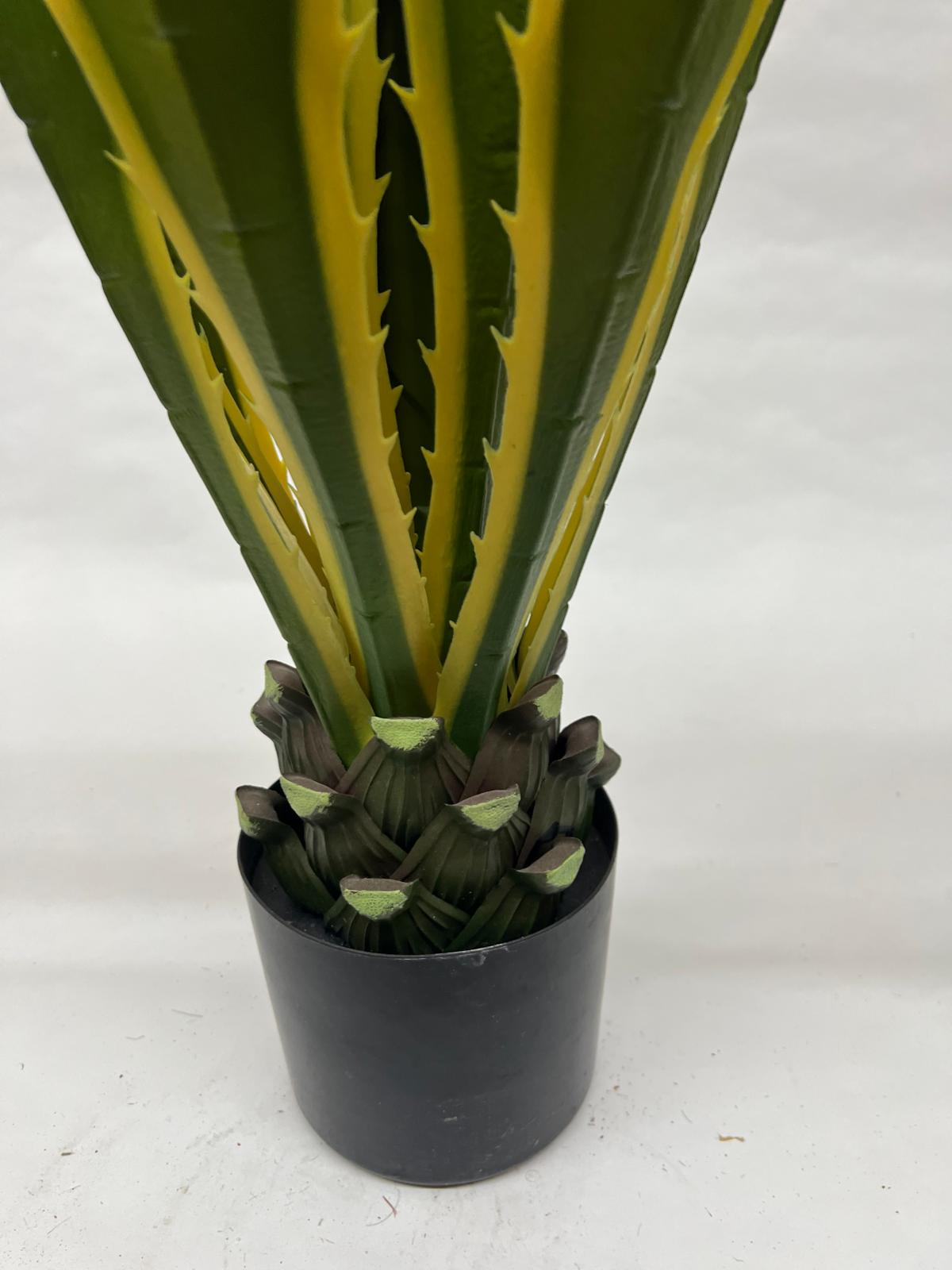 Pomi Artificiali (Yuca)