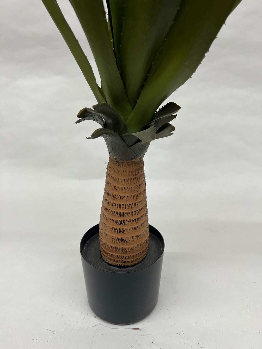 Pomi Artificiali (Agave)