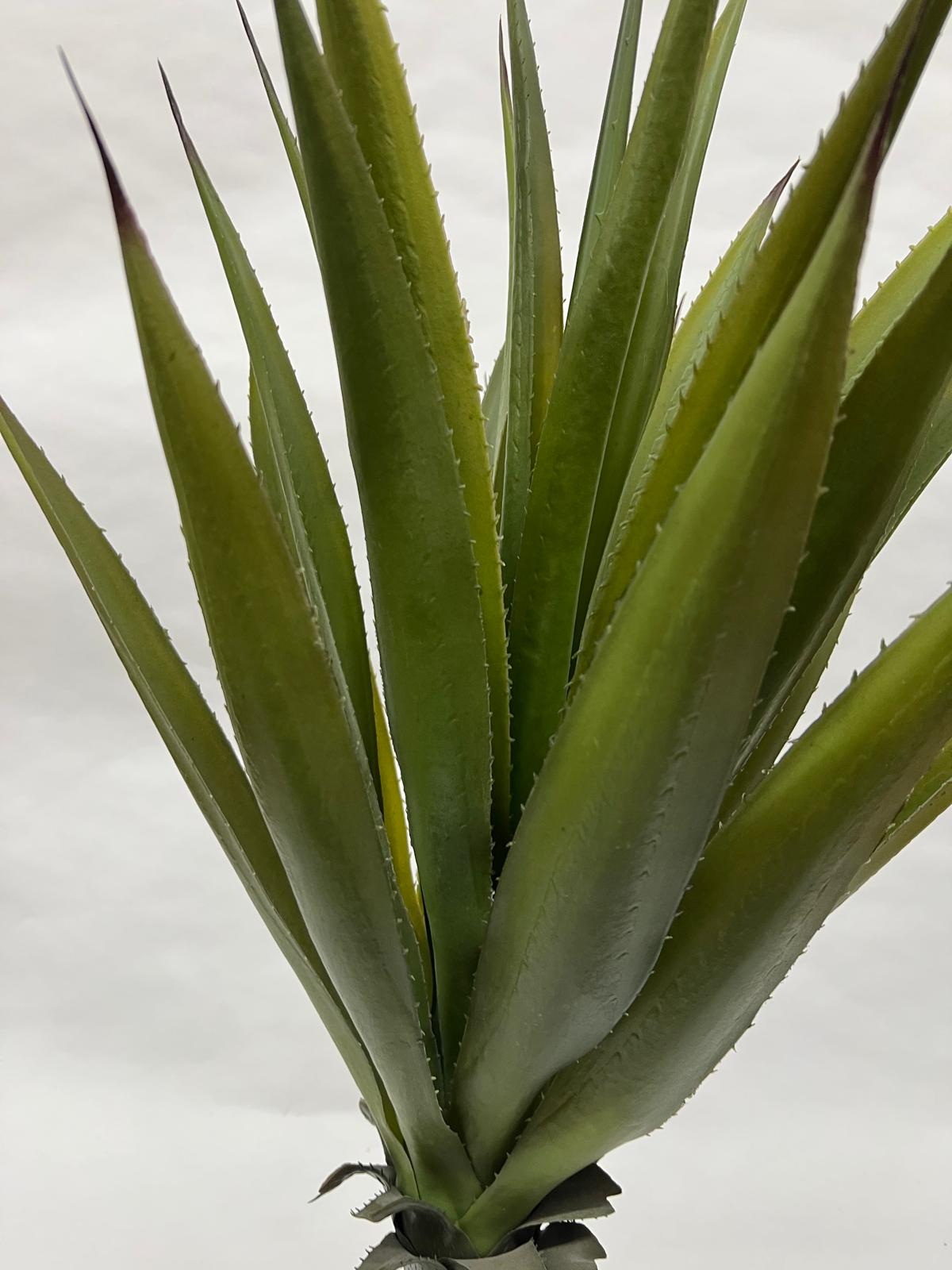 Pomi Artificiali (Agave)