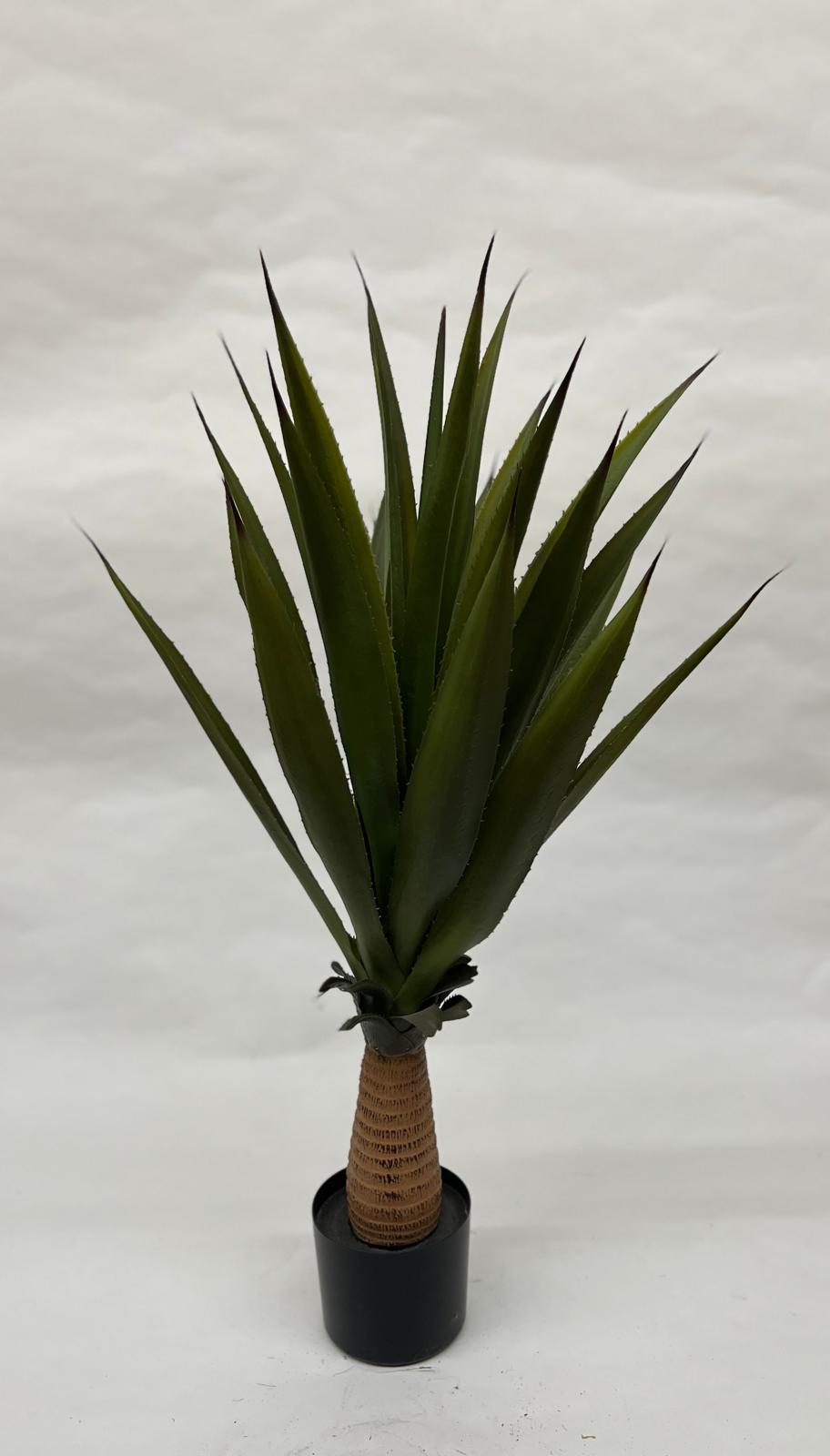 Pomi Artificiali (Agave)