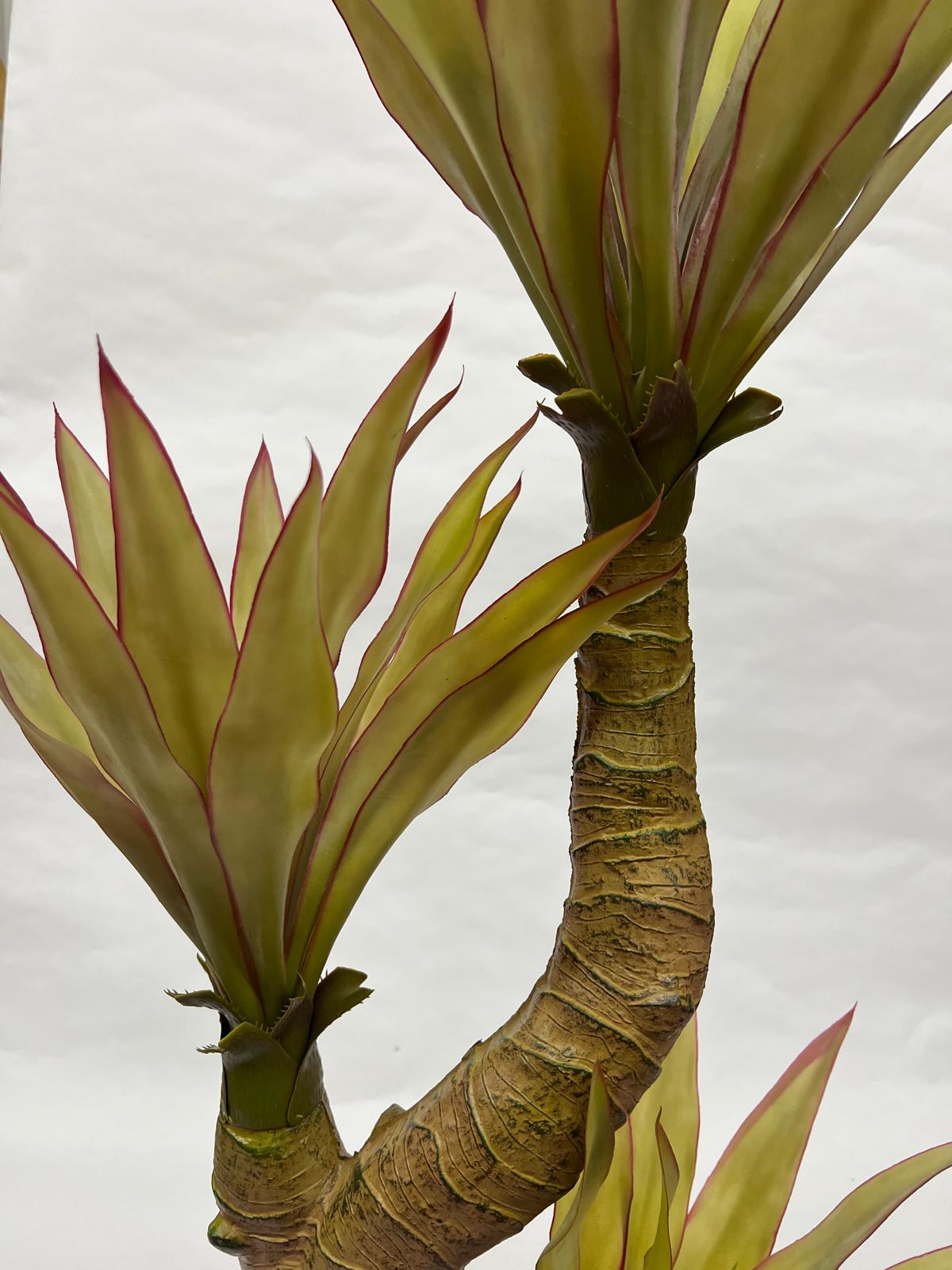 Pomi Artificiali (Yuca)