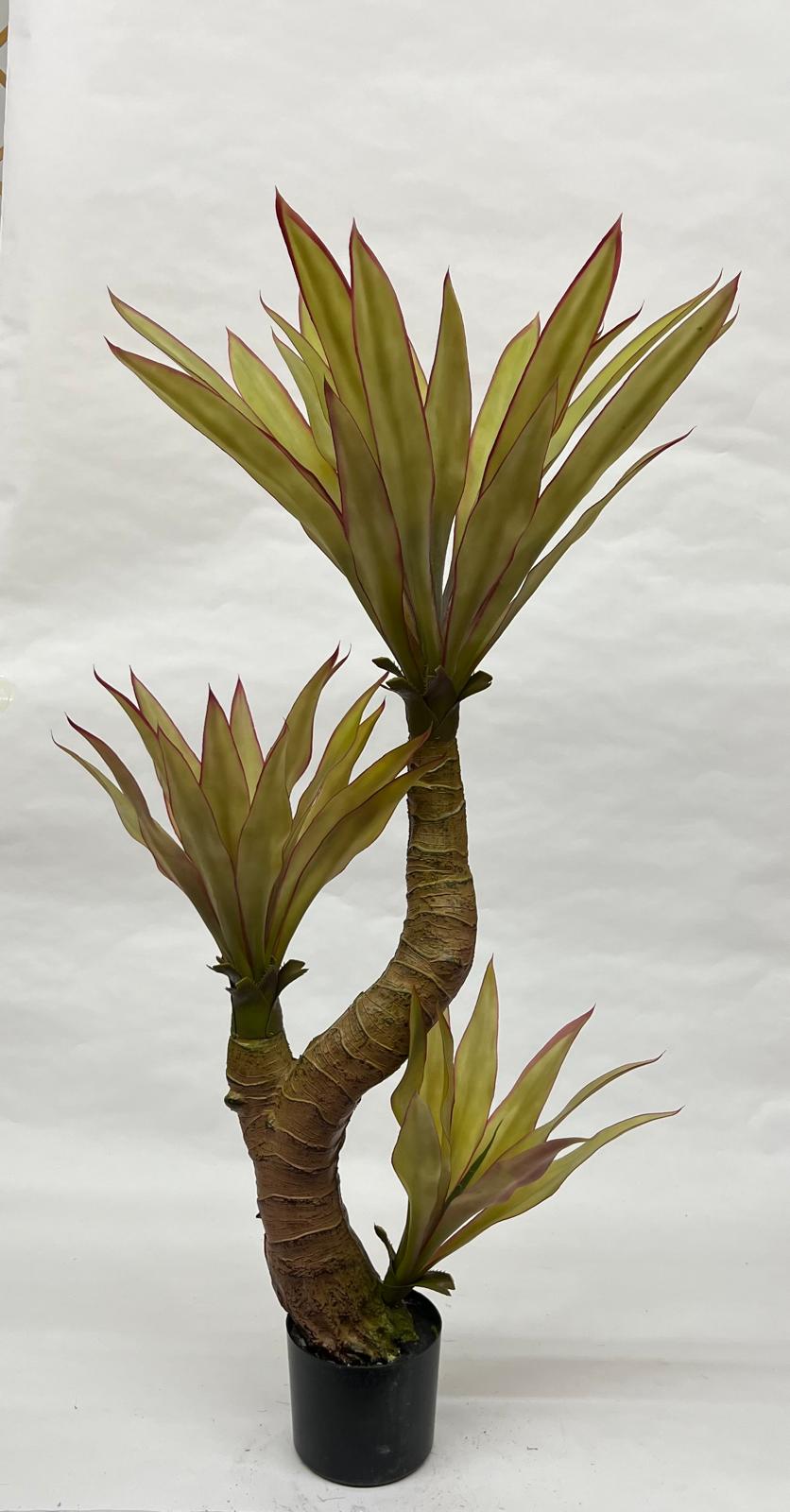 Pomi Artificiali (Yuca)