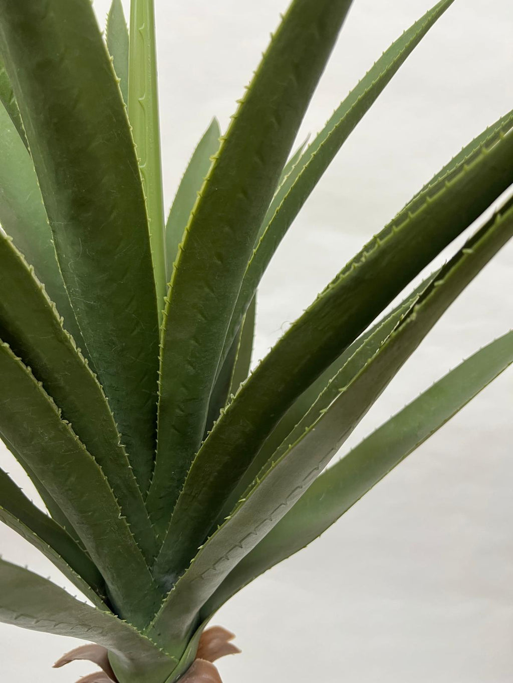 Pomi Artificiali (Agave)