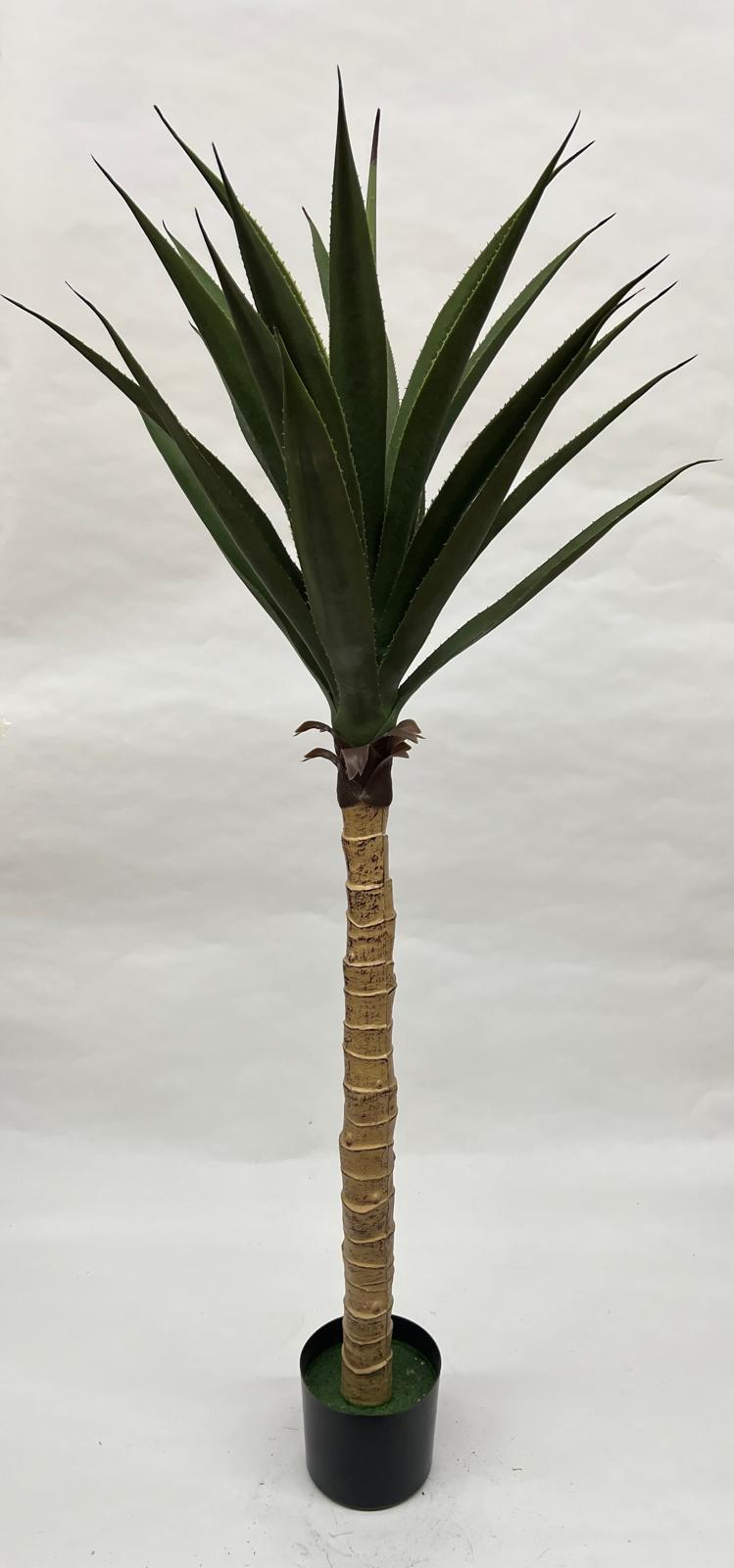 Pomi Artificiali (Agave)