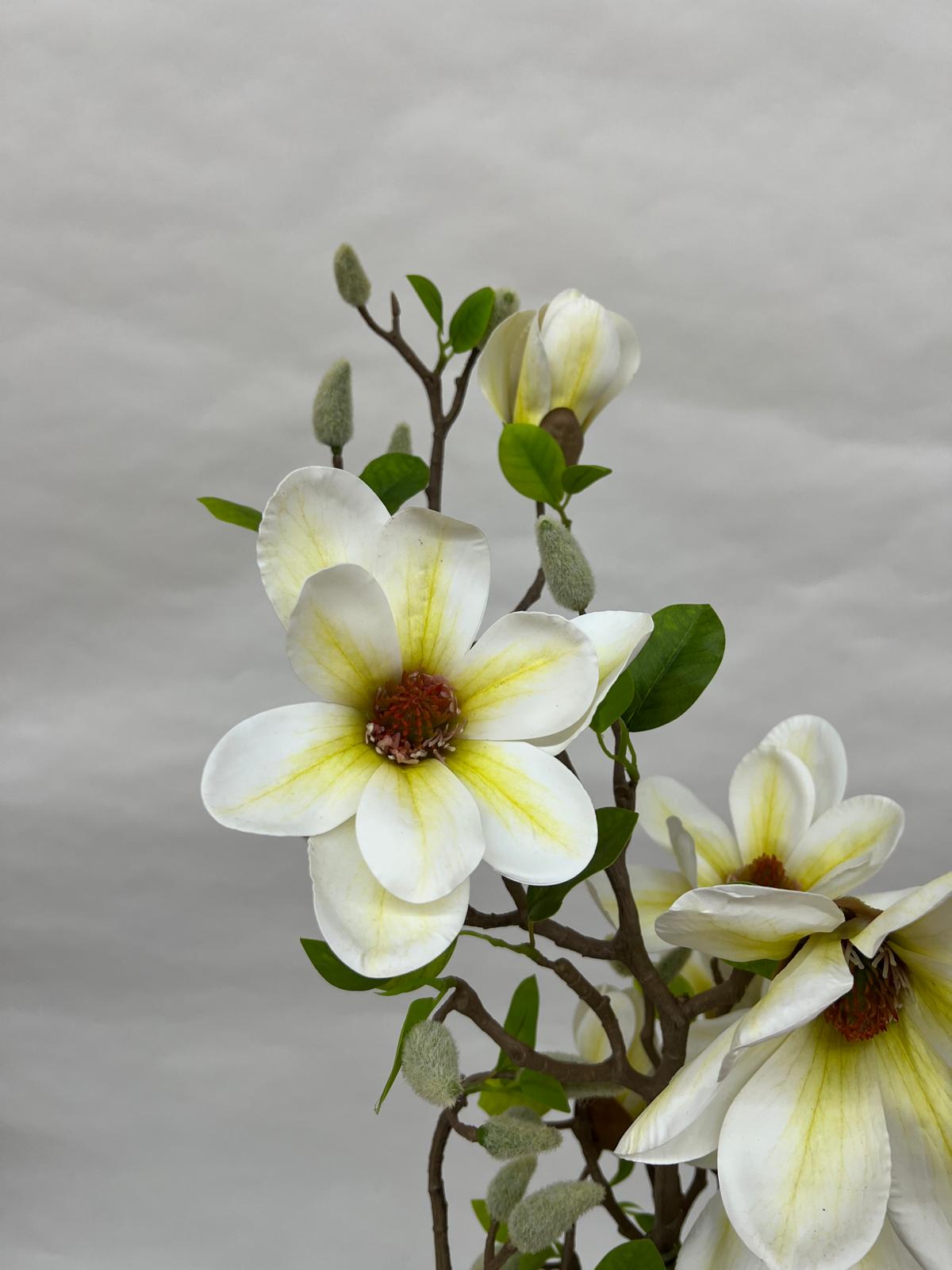 Pomi Artificiali (Magnolie)