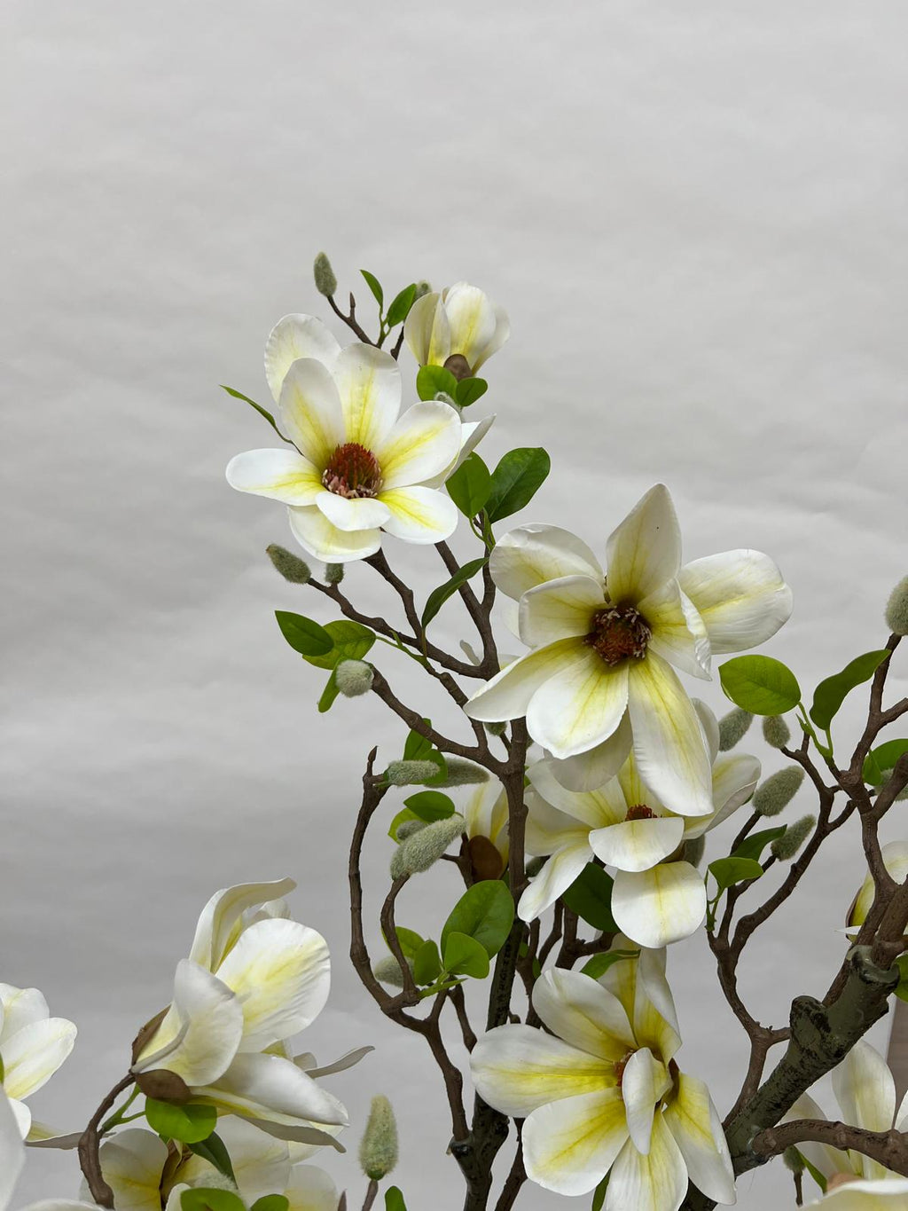 Pomi Artificiali (Magnolie)