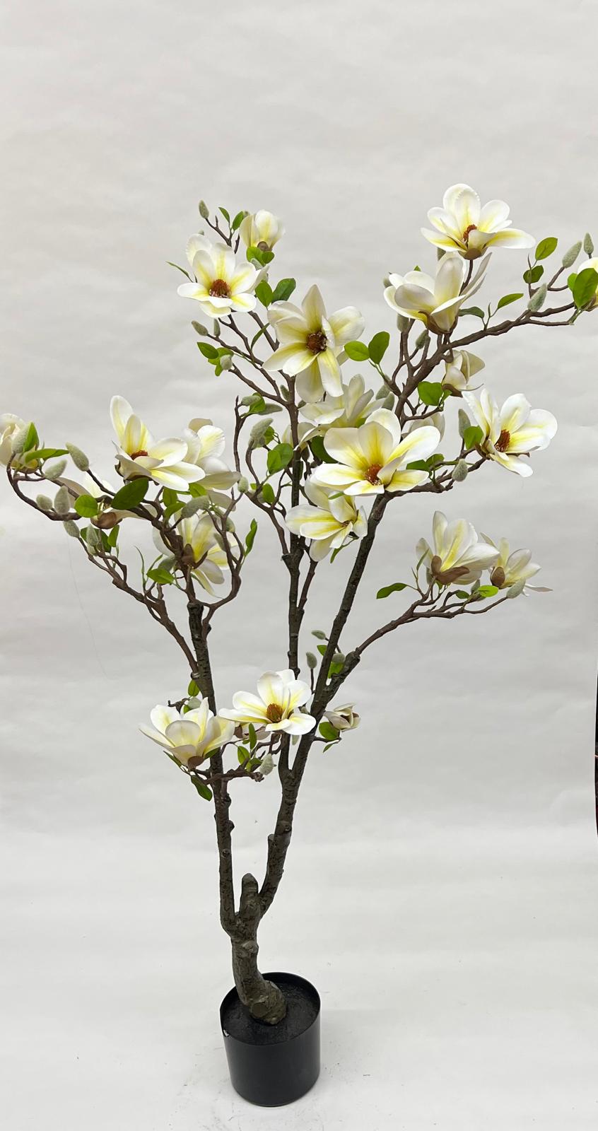 Pomi Artificiali (Magnolie)