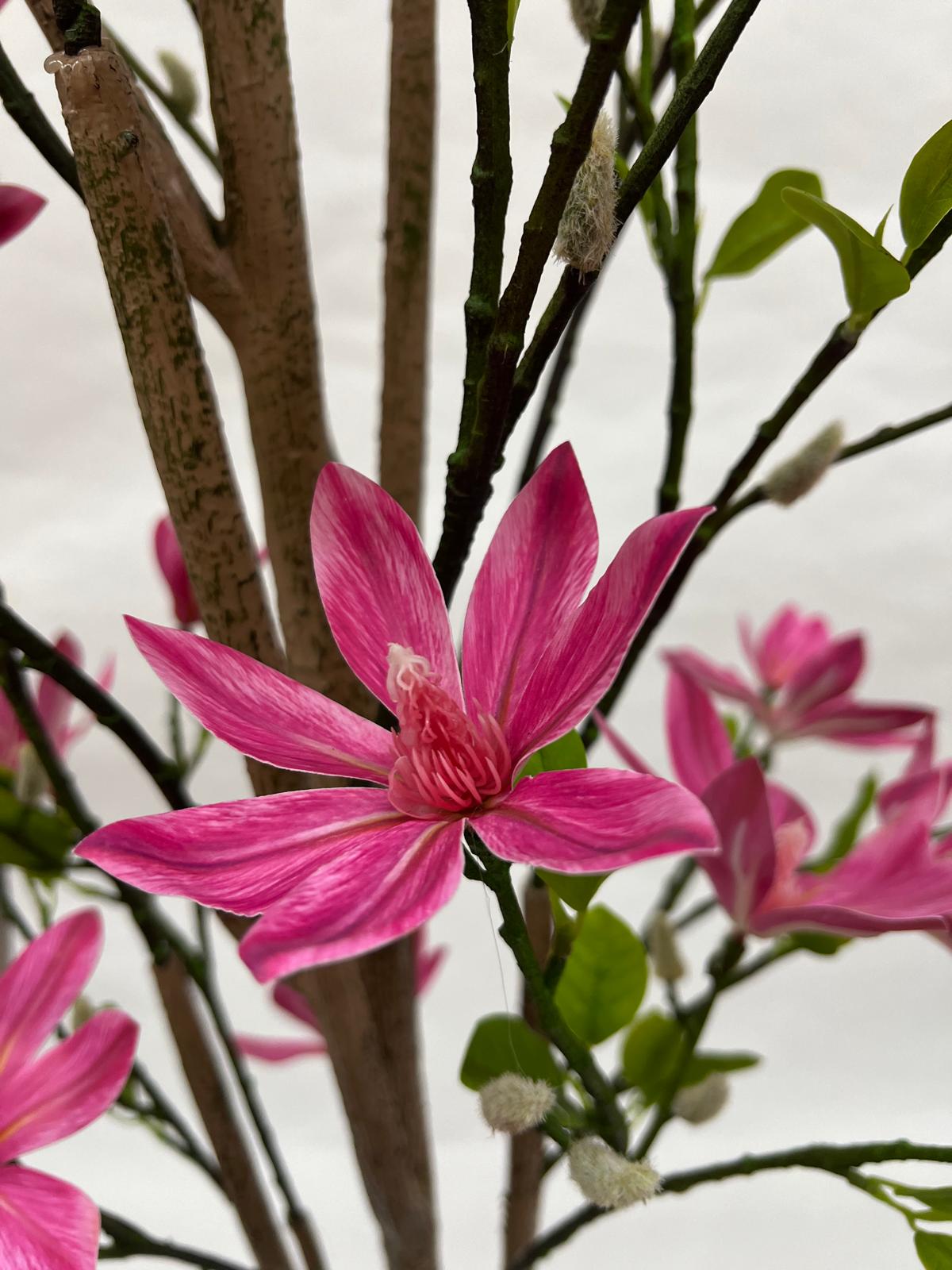Pomi Artificiali (Magnolie)
