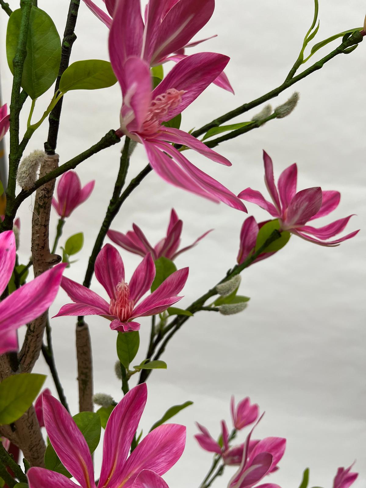 Pomi Artificiali (Magnolie)