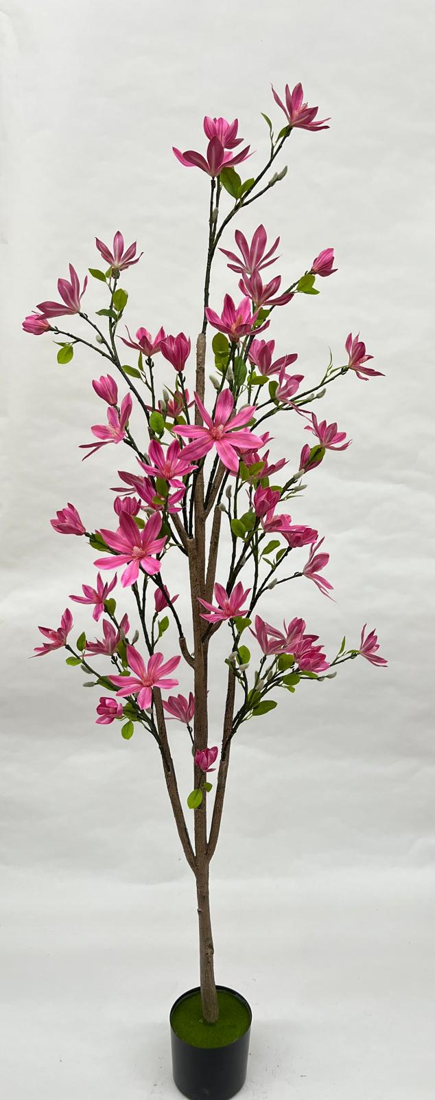 Pomi Artificiali (Magnolie)