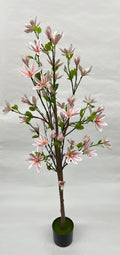 Pomi Artificiali (Magnolie)