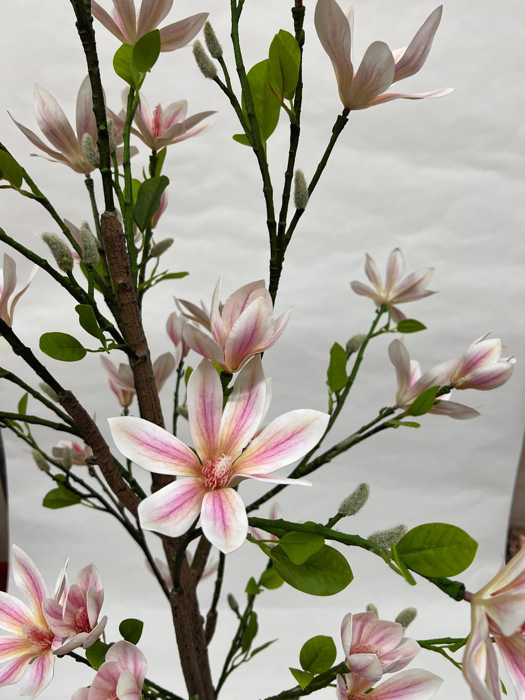 Pomi Artificiali (Magnolie)
