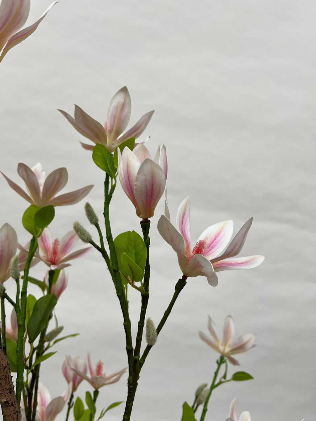 Pomi Artificiali (Magnolie)