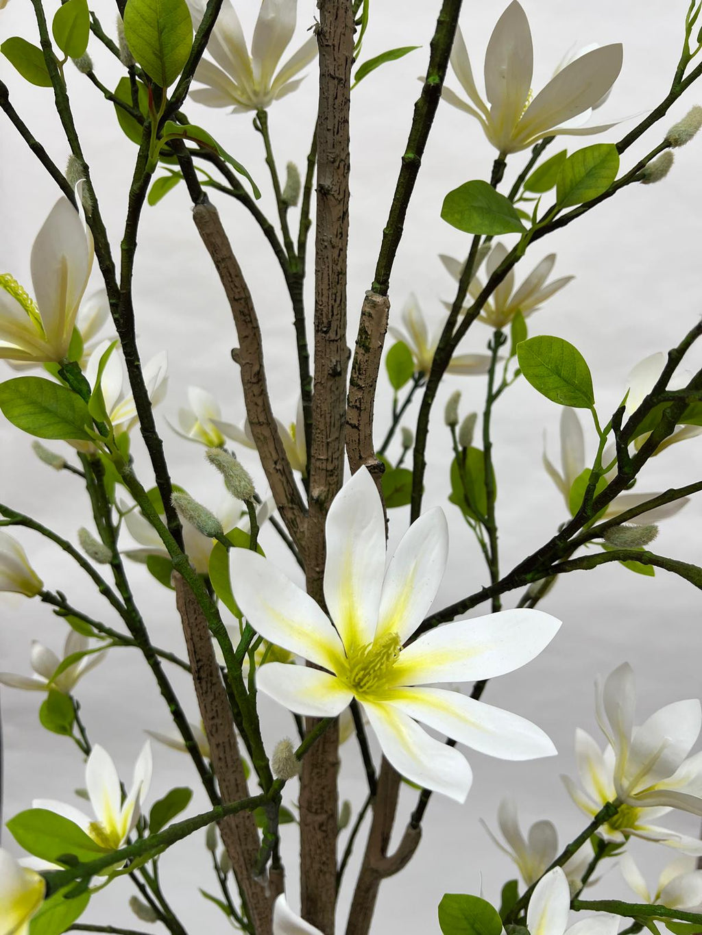 Pomi Artificiali (Magnolie)