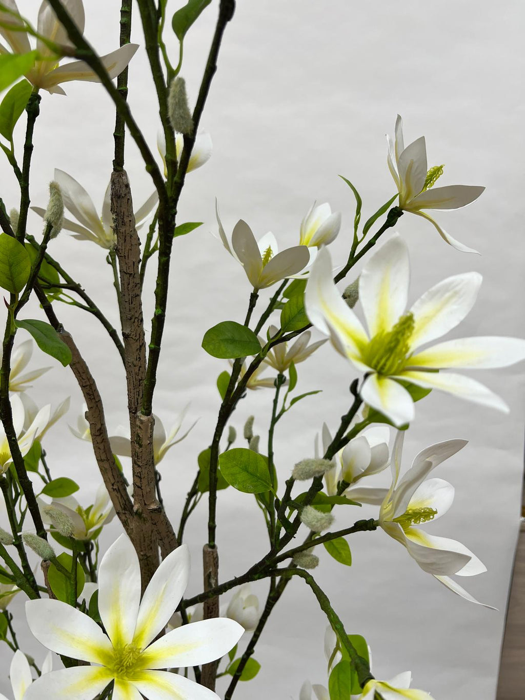 Pomi Artificiali (Magnolie)