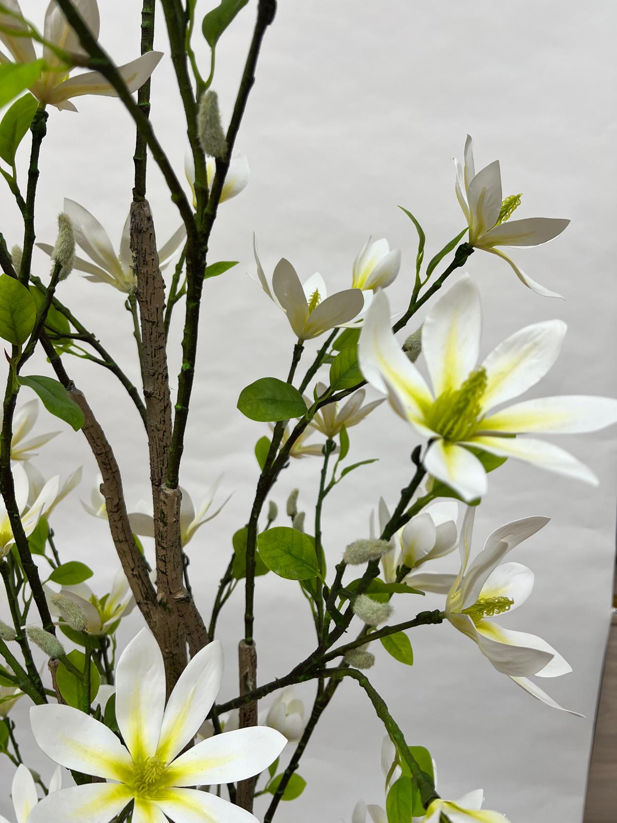 Pomi Artificiali (Magnolie)