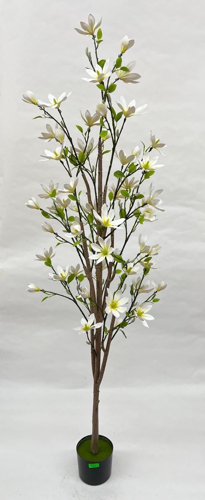 Pomi Artificiali (Magnolie)